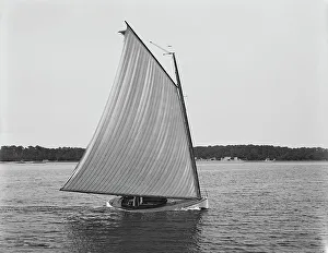 Black And White Sailing Boats Prints: Rocket, between 1880 and 1899. Creator: Unknown