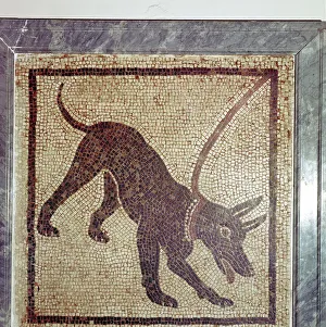 Roman mosaic of dog, Cave Canem, Pompeii, Italy Roman mosaic of dog, Cave Canem, Pompeii, Italy