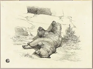 Art Institute Chicago Prints: Russian Bear, n.d. Creator: Auguste-Andre Lancon