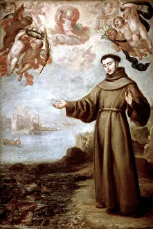 San Antonio De Padua San Antonio De Padua