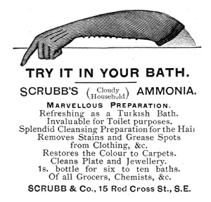 Scrubb & Co. 1891 Print from The Graphic, Volume 44