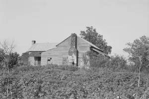 Walker Evans Print: Sharecroppers' Buildings and Fields