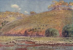 Oceania Geographical Features Prints: A Sheep-Run, 1923. Creator: Unknown