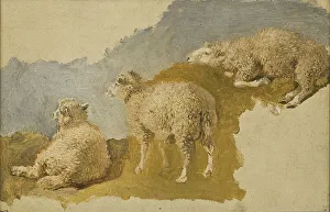 Three Sheep Print, a mid-19th century watercolour study