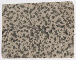 Anonymous Artwork Prints: Sheet with an overall splotchy pattern, 19th century. Creator: Anon