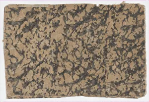Historical Woodcuts Prints: Sheet with overall splotchy pattern, 19th century. Creator: Anon