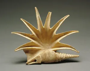4th Century BC Greece Prints: Shell, 400-325 BC. Creator: Unknown