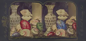 Aquatic Life In Art Prints: Shells and vases, about 1865. Creator: Unknown