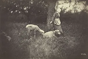 Shepherdess Leaning Against a Tree, with Two Sheep, 1870. Creator: Giraudon's Artist Shepherdess Leaning Against a Tree, with Two Sheep, 1870. Creator: Giraudon's Artist
