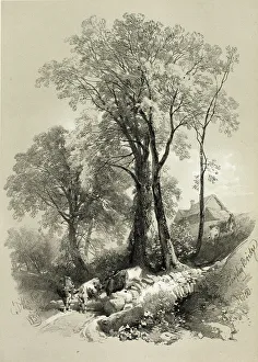 James Duffield Harding Artist Prints: Shipley Bridge, Devon, from Picturesque Selections, 1859. Creator: James Duffield Harding