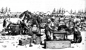 Shoeing Forge of the New South Wales Artillery at Suakim, c1885, (1902) Shoeing Forge of the New South Wales Artillery at Suakim, c1885, (1902)