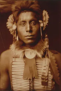 Native American Heritage Art Prints: Sitting Eagle, c1905. Creator: Edward Sheriff Curtis