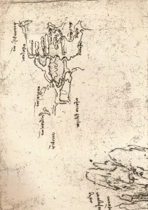 Sketch map of Armenia, c1472-c1519 (1883). Artist: Leonardo da Vinci Sketch map of Armenia, c1472-c1519 (1883). Artist: Leonardo da Vinci