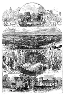 British Geographical Features Prints: Sketches in Epping Forest, 1871. Creator: Unknown
