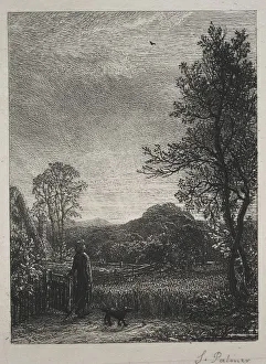 The Skylark, 1850. Creator: Samuel Palmer (British, 1805-1881) The Skylark, 1850. Creator: Samuel Palmer (British, 1805-1881)