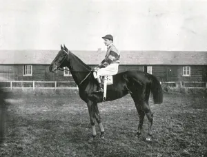Black And White Horse Racing Images Prints: Skyscraper, 1911. Creator: Unknown