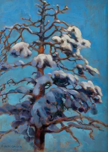 Heritage Images Print of Snowy Pine Tree, 1899