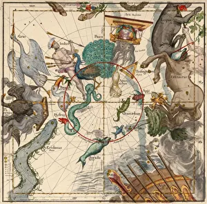 South Pole, Plate 6 from Globi coelestis in tabulas planas redacti descriptio, 1674 South Pole, Plate 6 from Globi coelestis in tabulas planas redacti descriptio, 1674