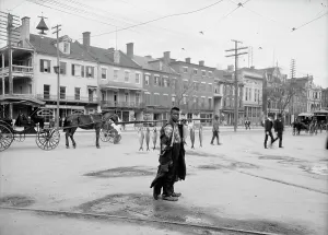 Augusta Georgia History Prints: Southern fish vendor, c1903. Creator: Unknown