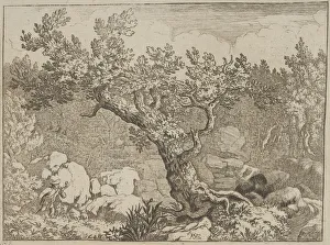 The Sportsman near the Large Tree, 17th century. Creator: Allart van Everdingen The Sportsman near the Large Tree, 17th century. Creator: Allart van Everdingen