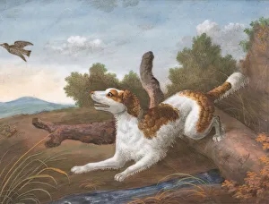 Nineteenth Century Animal Artwork Prints: Springer: A Spaniel Bounding Over a Log to Spring a Snipe on the Left, ca. 1805