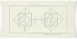 1875 Stereoscopic Print Without Stereoscopic Effect 1