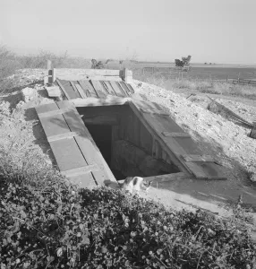 Dead Ox Flat Storage Cellar Print, Oregon 1939