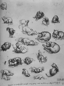 Studies of Cats and of a Dragon, c1480 (1945). Artist: Leonardo da Vinci Studies of Cats and of a Dragon, c1480 (1945). Artist: Leonardo da Vinci