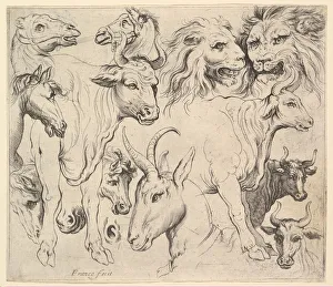 Animal Portraits Prints: Studies of Heads. Creator: Unknown