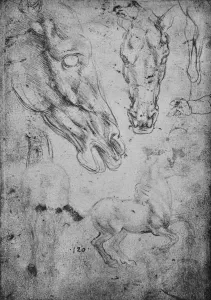Studies of Horses and of Horses Heads, c1480 (1945). Artist: Leonardo da Vinci Studies of Horses and of Horses Heads, c1480 (1945). Artist: Leonardo da Vinci
