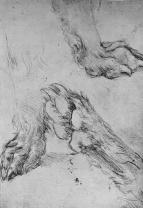 Three Studies of the Paws of a Dog or Wolf, c1480 (1945). Artist: Leonardo da Vinci Three Studies of the Paws of a Dog or Wolf, c1480 (1945). Artist: Leonardo da Vinci