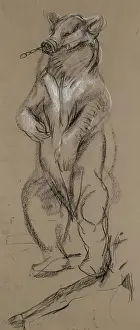 Aberdeen Archives Collection Prints: Study Of A Bear. Creator: John MacAllan Swan