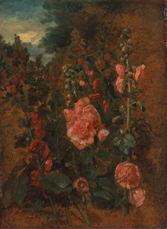 Yale Center For British Art Collection Prints: Study of Hollyhocks, ca. 1826. Creator: John Constable