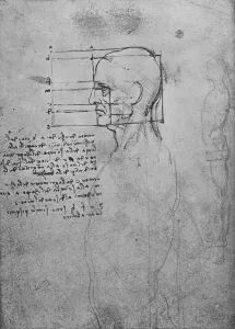 Leonardo Da Vinci Sketches Italy Prints: Study of a Mans Nude Torso, the Head Squared for Proportion