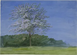 Romantic Era Art Gallery Prints: Study of a Tree in Bloom, c. 1835. Creator: William Turner
