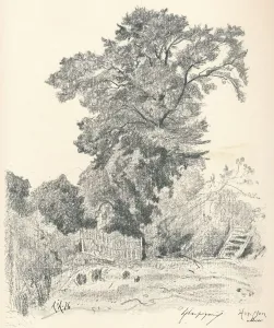 Rural Life In The Countryside Prints: Study of Trees, c1839-1898, (1898). Artist: Henri-Joseph Harpignies
