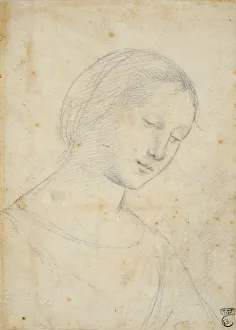 Fine Art Pencil Drawings Prints: Study of a Woman