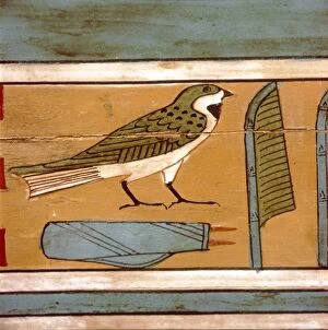 Minya Collection: Swallow detail, Egyptian hieroglyphic on inner wall of coffin, c2000 BC