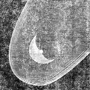 Black And White Astronomy Prints: Telescopic Appearances of Donati's Comet