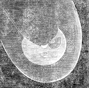 Black And White Astronomy Prints: Telescopic Appearances of Donati's Comet