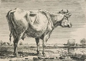 Heritage Art From The Netherlands Prints: No title. (Cattle study.), c.1798. Creator: Pieter Gerardus van Os