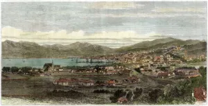 The town and port of Wellington, capital of New Zealand, c1880 The town and port of Wellington, capital of New Zealand, c1880