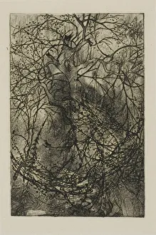 Rodolphe Bresdin's Tree Branches Print, n.d