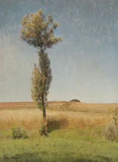 Swedish Heritage Images Prints: The Tree. Creator: Julius Paulsen