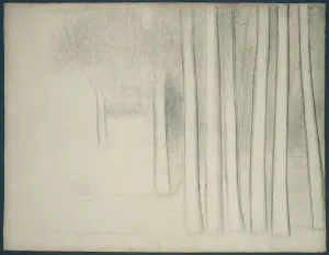 Black And White Landscape Art Prints: Tree Trunks (study for La Grande Jatte), 1884. Creator: Georges-Pierre Seurat