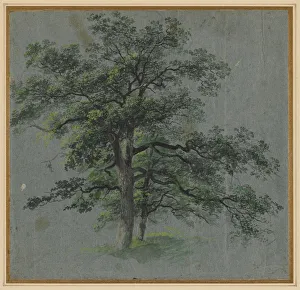 Johann Jacob Dorner Print, Early 1800s