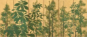 Trees. A six-section folding screens, Mid of 17th cen Trees. A six-section folding screens, Mid of 17th cen