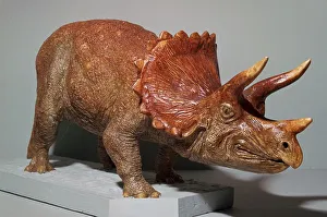 Triceratops Model Print from Western USA Fossil Finds