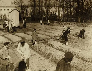 Tsar Nicholas II and family gardening at Alexander Palace during internment at Tsarskoye Selo, 1917 Tsar Nicholas II and family gardening at Alexander Palace during internment at Tsarskoye Selo, 1917
