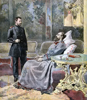 The Tsarevich Nicholas and his father Tsar Alexander III of Russia, 1894. Artist: F Meaulle The Tsarevich Nicholas and his father Tsar Alexander III of Russia, 1894. Artist: F Meaulle